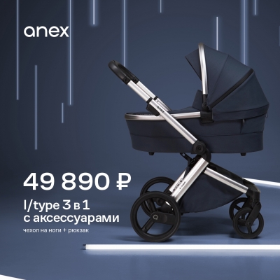 Детская коляска Anex l/type 3 в 1