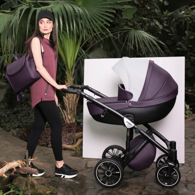 Детская коляска Anex Sport Discovery 3 в 1